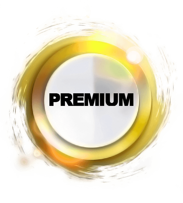 PREMIUM category apsc sky web solution social service