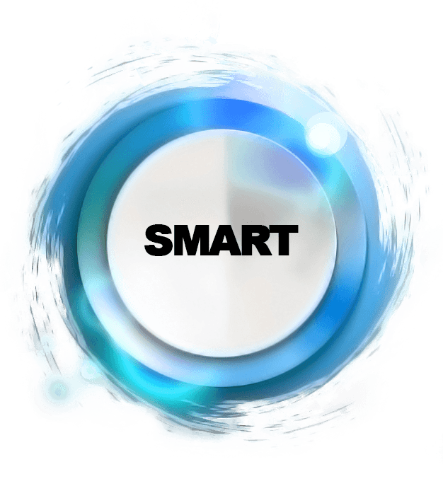 SMART category apsc sky web solution social service
